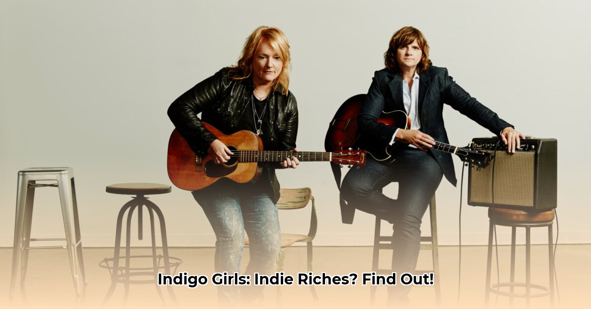 indigo-girls-net-worth